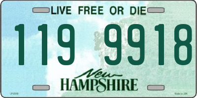 NH license plate 1199918