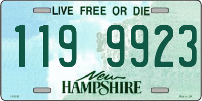 NH license plate 1199923