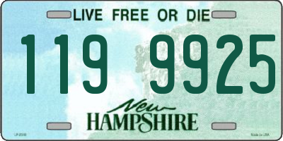 NH license plate 1199925