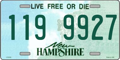 NH license plate 1199927