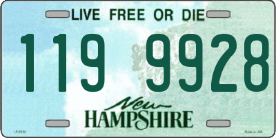 NH license plate 1199928