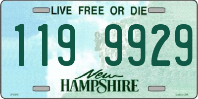 NH license plate 1199929