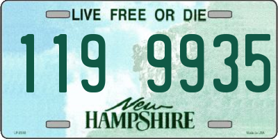 NH license plate 1199935
