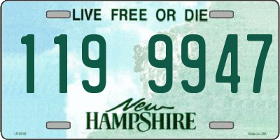 NH license plate 1199947