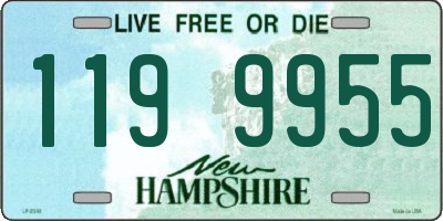 NH license plate 1199955