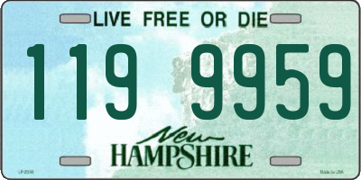 NH license plate 1199959