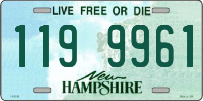 NH license plate 1199961