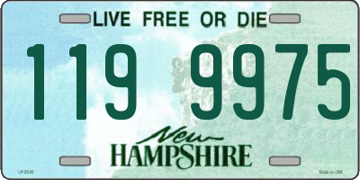 NH license plate 1199975