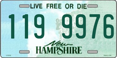NH license plate 1199976