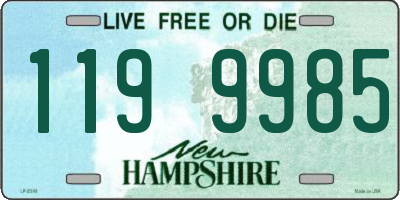 NH license plate 1199985