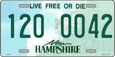 NH license plate 1200042