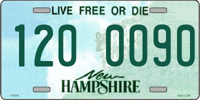 NH license plate 1200090