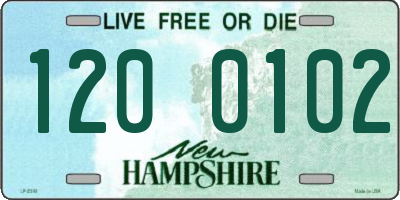 NH license plate 1200102