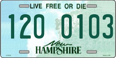 NH license plate 1200103