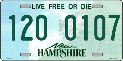 NH license plate 1200107
