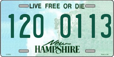NH license plate 1200113