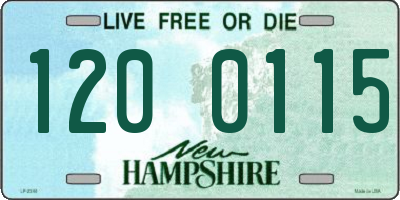 NH license plate 1200115