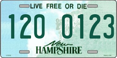 NH license plate 1200123