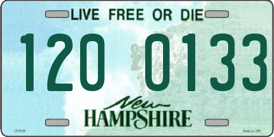 NH license plate 1200133