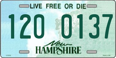 NH license plate 1200137
