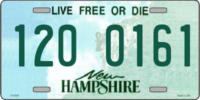 NH license plate 1200161