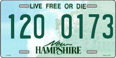 NH license plate 1200173