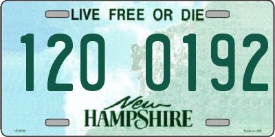 NH license plate 1200192