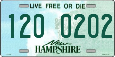 NH license plate 1200202