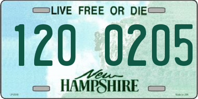 NH license plate 1200205