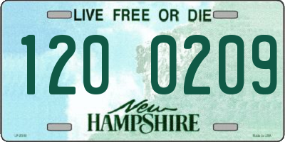 NH license plate 1200209