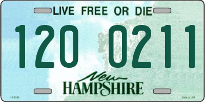 NH license plate 1200211