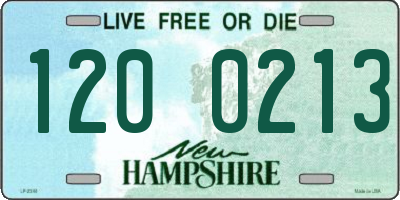NH license plate 1200213