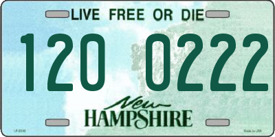 NH license plate 1200222