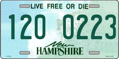 NH license plate 1200223