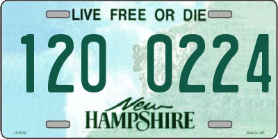 NH license plate 1200224