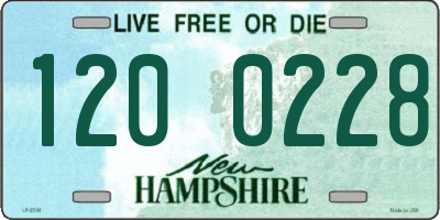 NH license plate 1200228