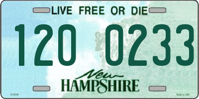 NH license plate 1200233