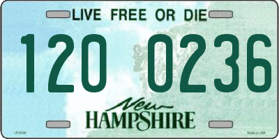 NH license plate 1200236