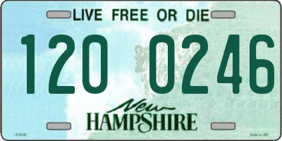 NH license plate 1200246