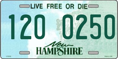 NH license plate 1200250