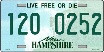 NH license plate 1200252