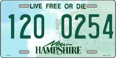 NH license plate 1200254