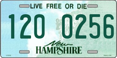 NH license plate 1200256