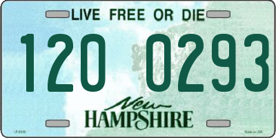 NH license plate 1200293