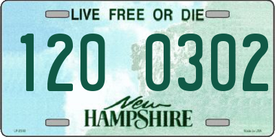 NH license plate 1200302