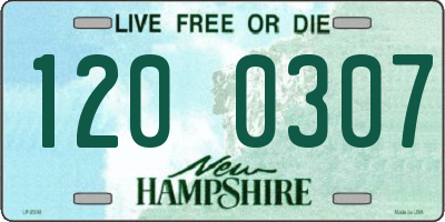 NH license plate 1200307