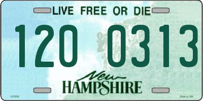 NH license plate 1200313