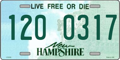 NH license plate 1200317