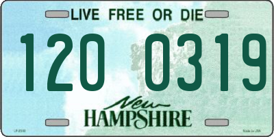 NH license plate 1200319