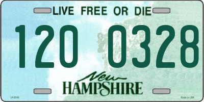 NH license plate 1200328